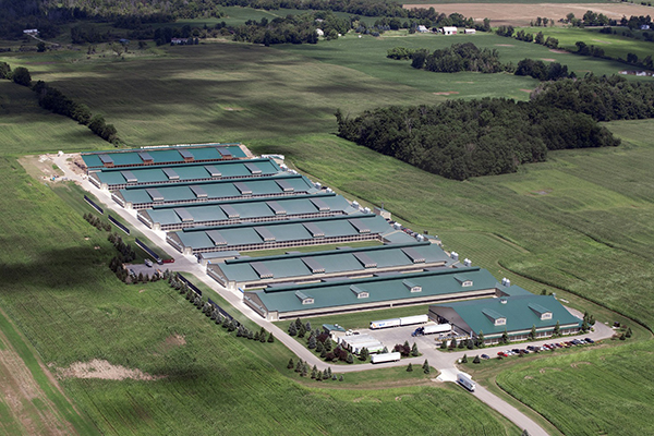 Inspired Interiors Co.,Ltd